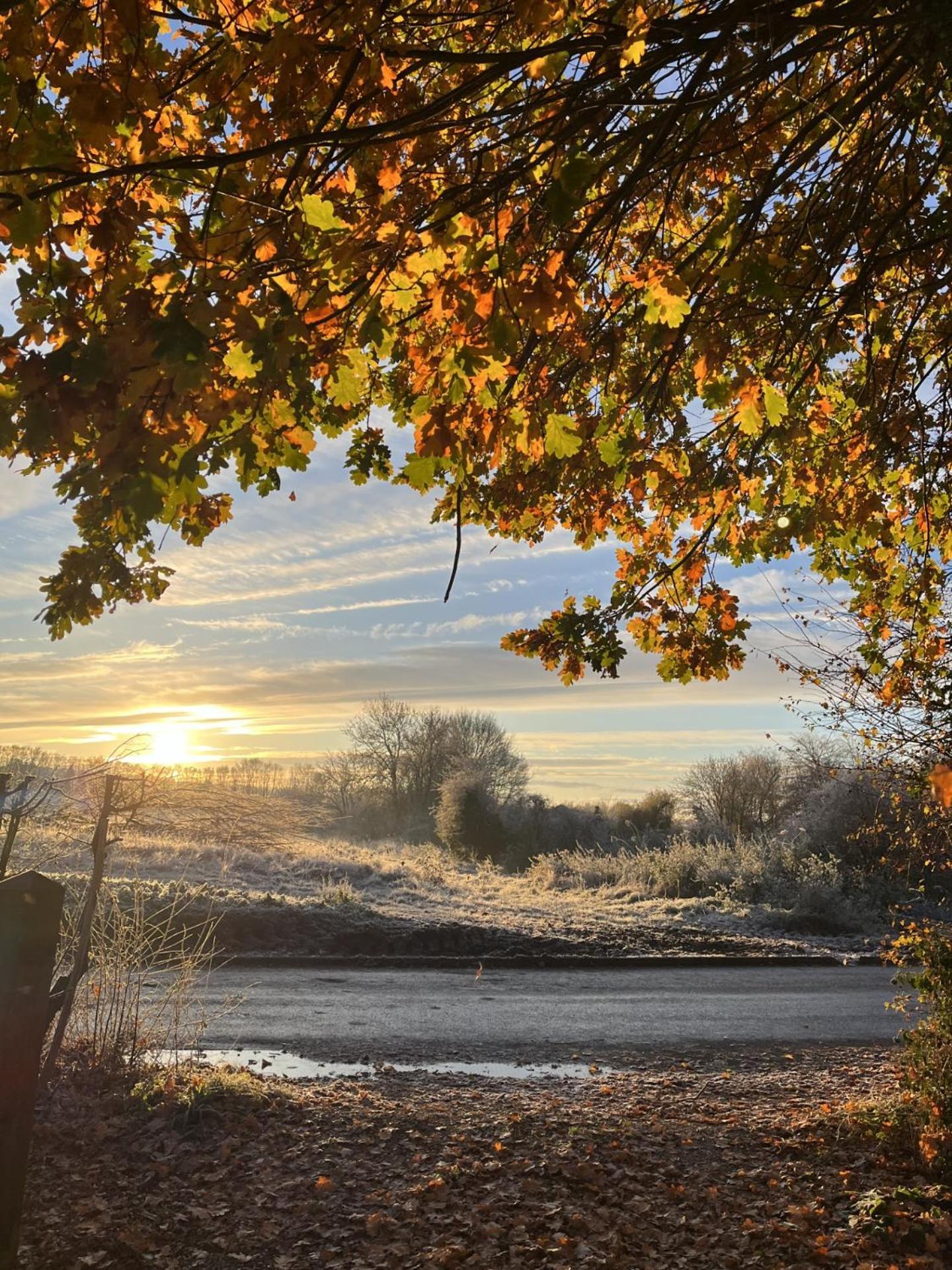 Willow Barn, Long Melford Luaran gambar